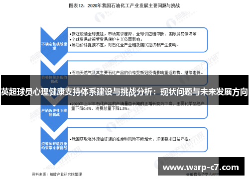 英超球员心理健康支持体系建设与挑战分析：现状问题与未来发展方向