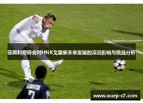 菲奥利奇转会对HNK戈里察未来发展的深远影响与挑战分析 菲奥利奇转会对HNK戈里察未来发展的深远影响与挑战分析