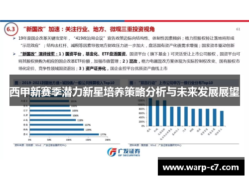西甲新赛季潜力新星培养策略分析与未来发展展望