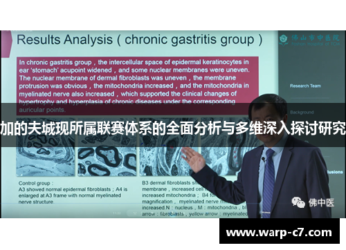 加的夫城现所属联赛体系的全面分析与多维深入探讨研究 加的夫城现所属联赛体系的全面分析与多维深入探讨研究