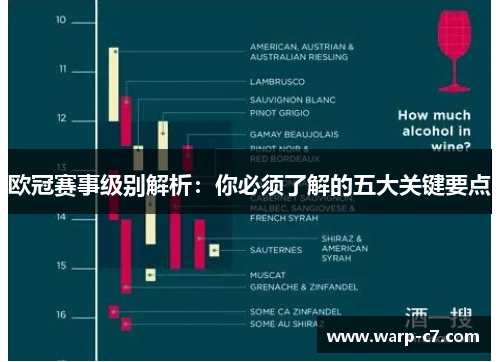 欧冠赛事级别解析：你必须了解的五大关键要点