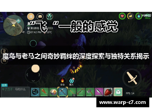 魔鸟与老马之间奇妙羁绊的深度探索与独特关系揭示
