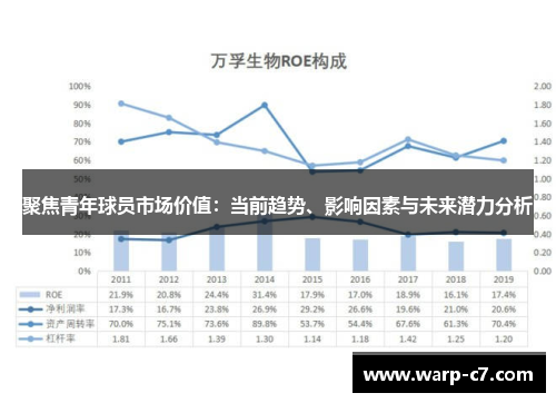 聚焦青年球员市场价值：当前趋势、影响因素与未来潜力分析