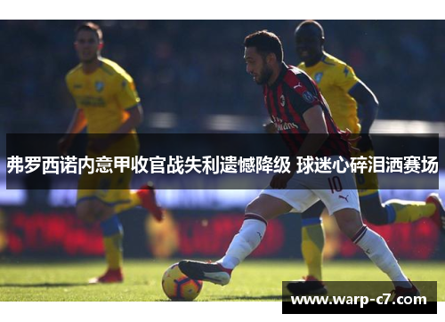弗罗西诺内意甲收官战失利遗憾降级 球迷心碎泪洒赛场 弗罗西诺内意甲收官战失利遗憾降级 球迷心碎泪洒赛场