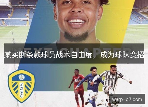 某买断条款球员战术自由度，成为球队变招